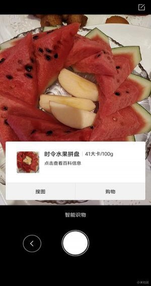 智能识物
