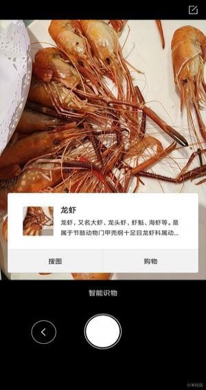 智能识物