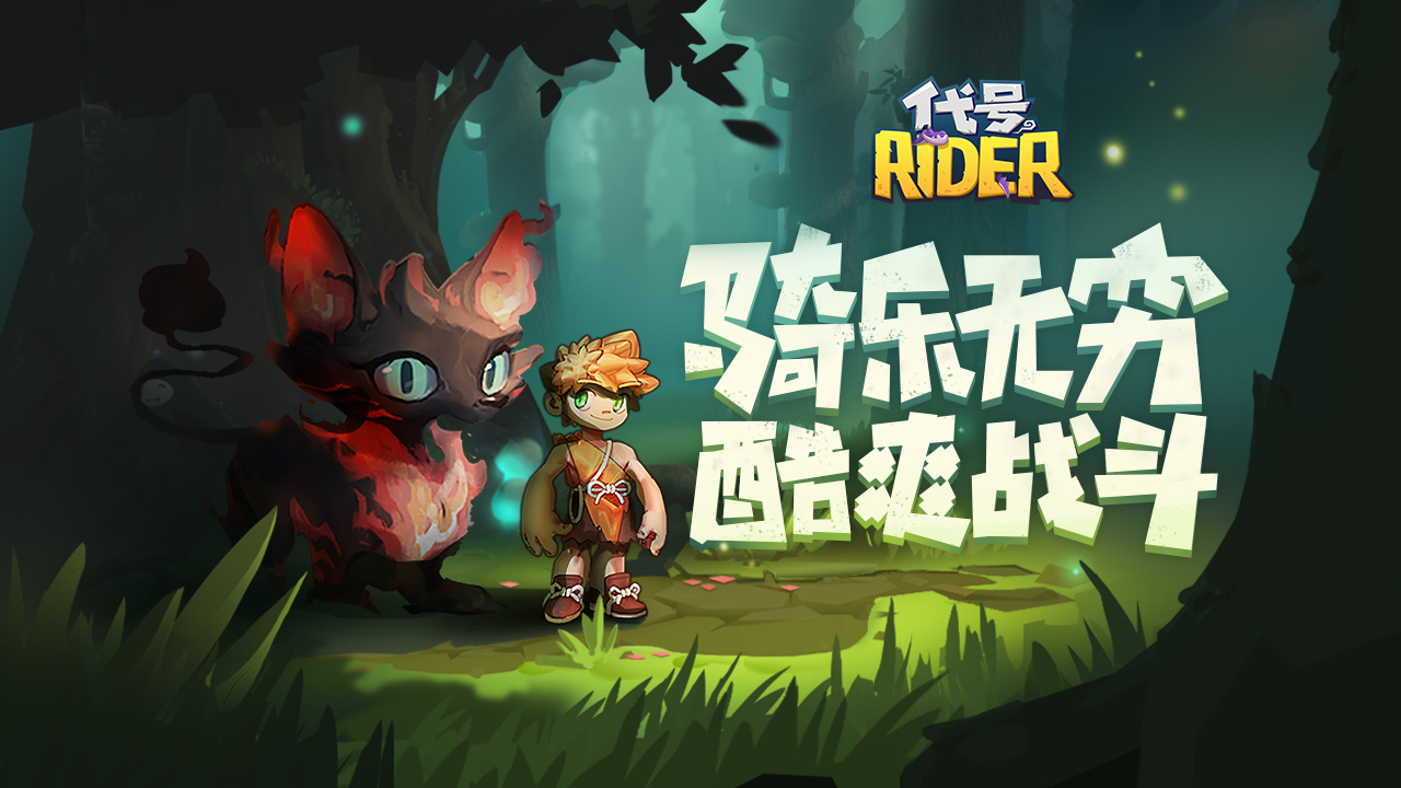代號：Rider