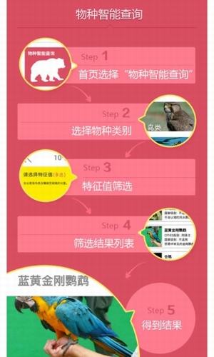 動(dòng)物守護(hù)者