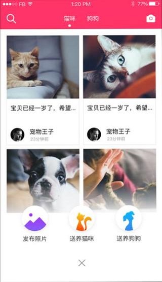 養(yǎng)養(yǎng)寵物