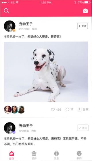 養(yǎng)養(yǎng)寵物