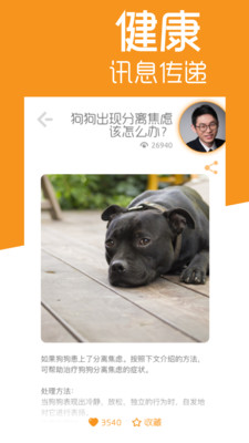 寵e時代
