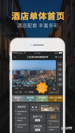 貓喂貓
