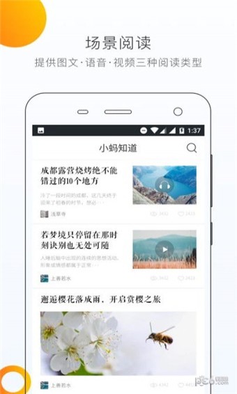小螞知道