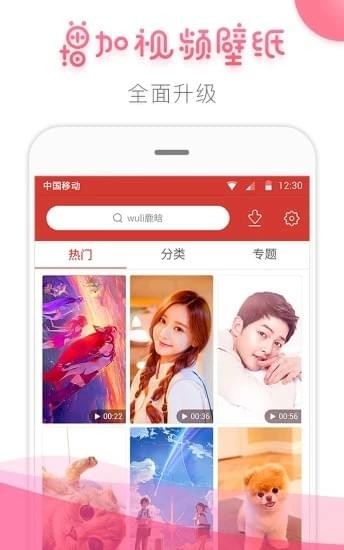 桔子壁紙