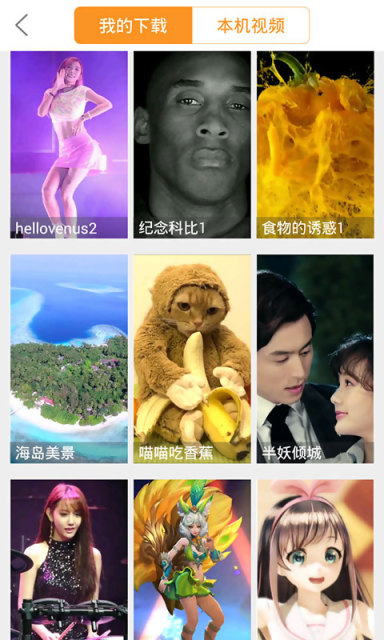 騎士視頻桌面