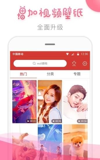 桔子壁紙