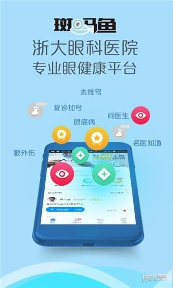 斑馬魚愛眼