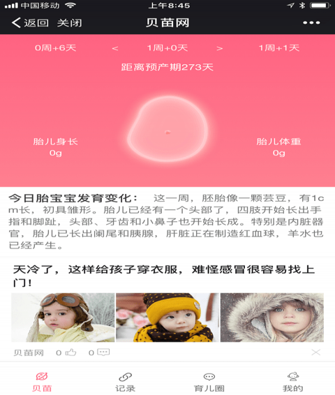 貝苗