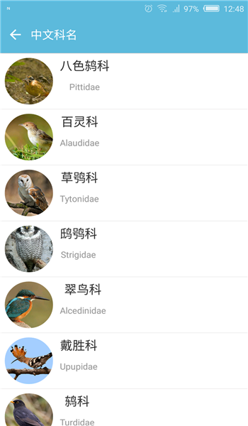 鳥叫聲大全