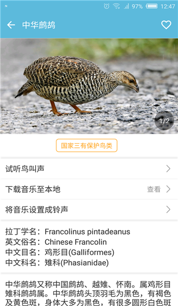 鳥叫聲大全