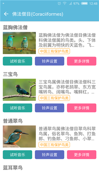 鳥叫聲大全