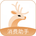 小鹿发现