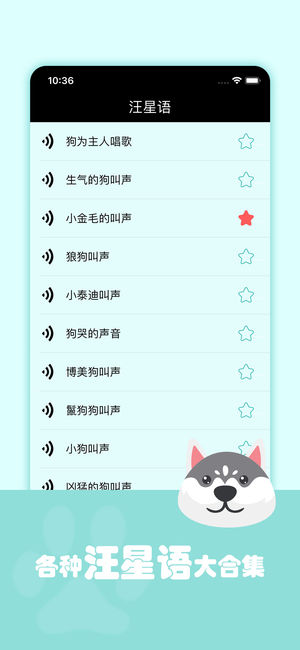 人狗貓交流器