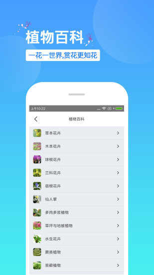 識花