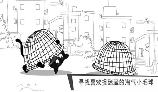 貓咪出游