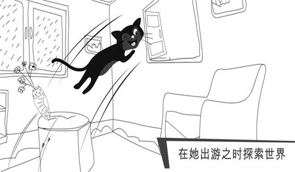貓咪出游