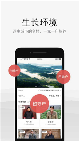 豬兒妞妞