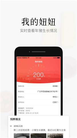 豬兒妞妞