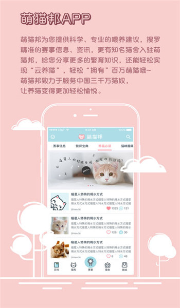 萌貓邦
