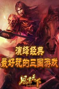 風云天下OL  九游版