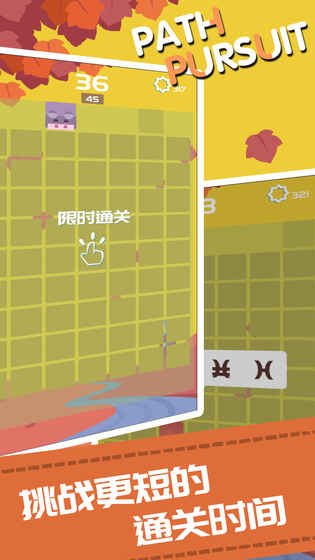 路徑迷蹤