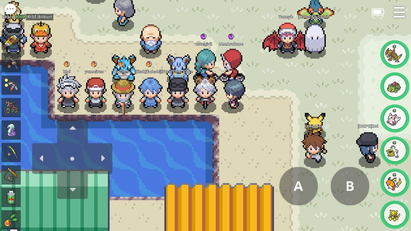 PokeMMO