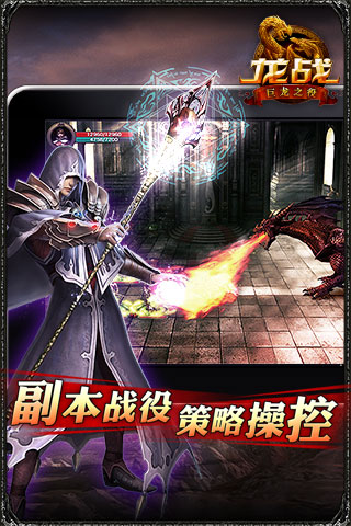 龙战OL  九游版