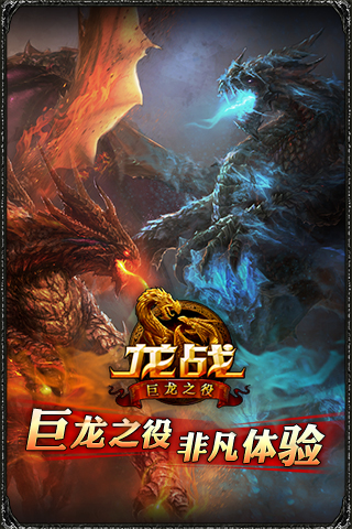 龙战OL  九游版