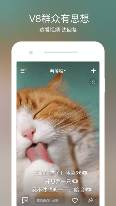 V8實拍