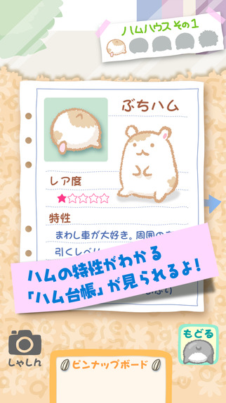 哈姆屁屁大師