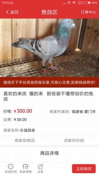 搜鴿