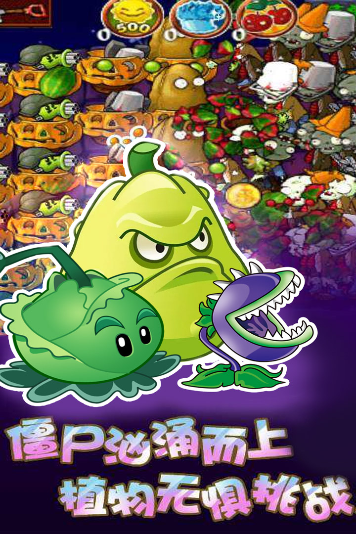 植物怒戰僵尸王  九游版