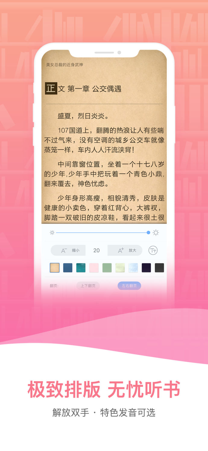 小說(shuō)王