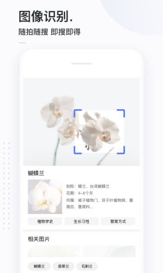 簡單搜索