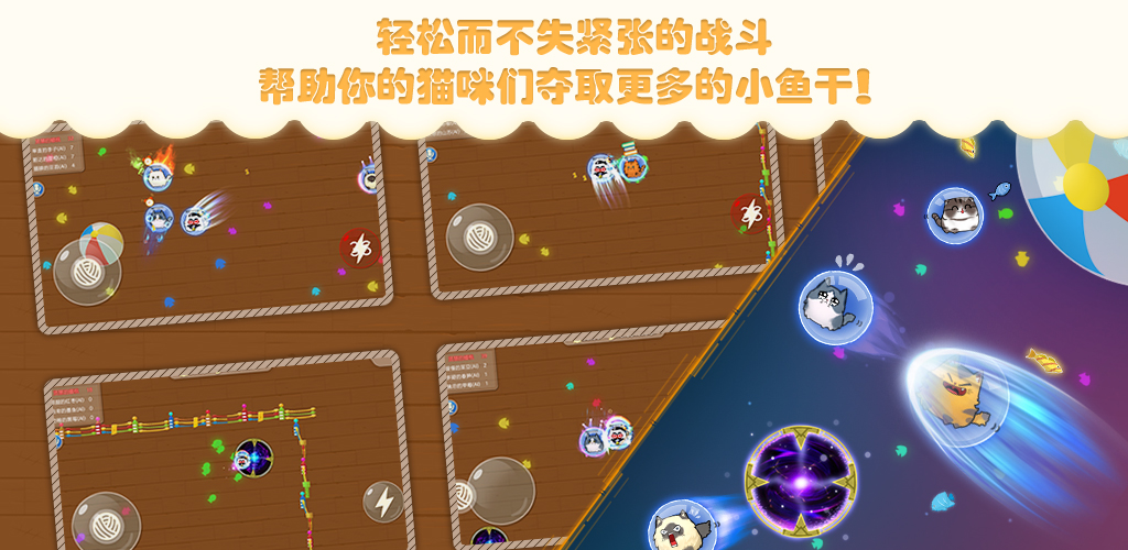 貓咪碰碰球