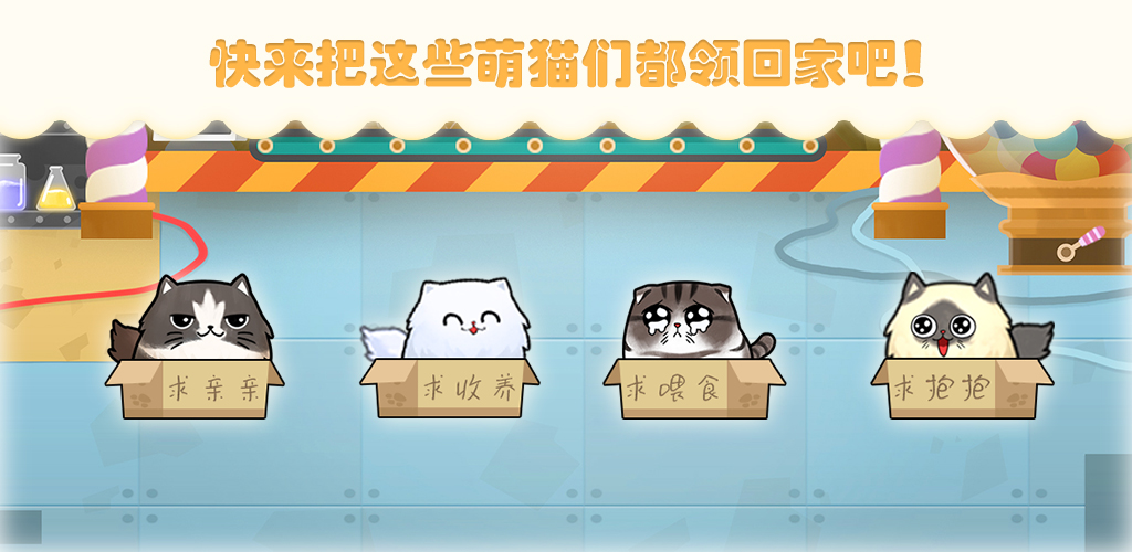 貓咪碰碰球