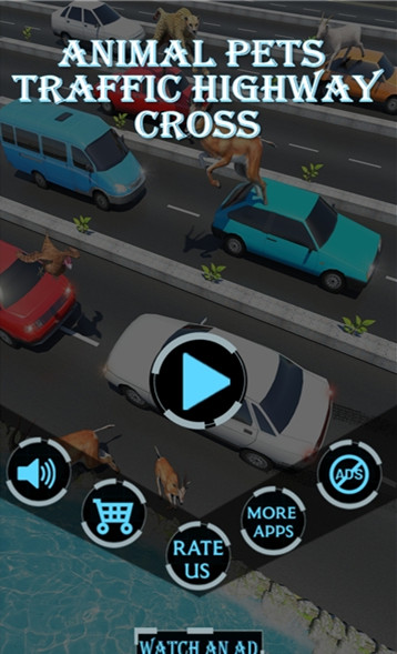 公路上的動(dòng)物