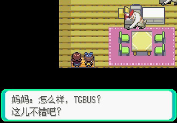 口袋妖怪漆黑的魅影4.5EX