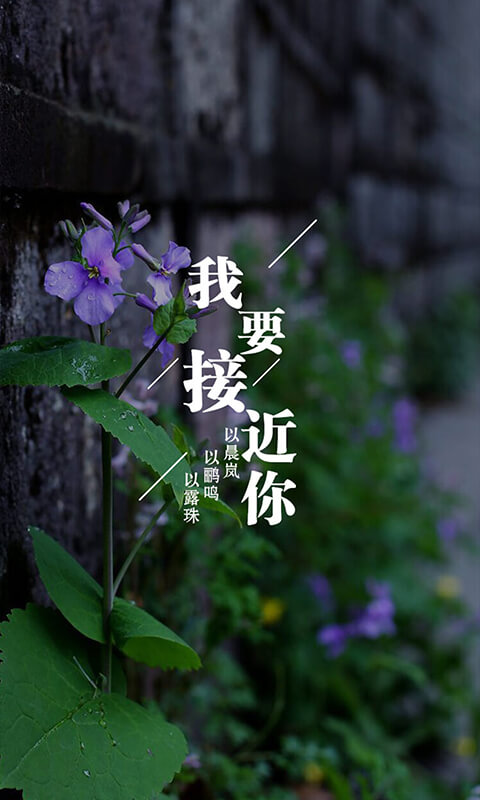 為你寫詩(shī)