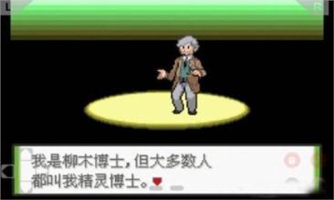 口袋妖怪：釉色  漢化版