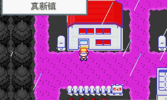口袋妖怪：冠軍的旅程