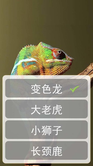 屁屁體