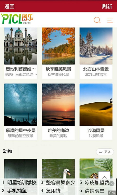 百家緣