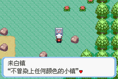 口袋妖怪：蛇紋木  中文版