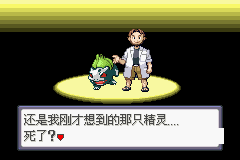 口袋妖怪：蛇紋木  中文版