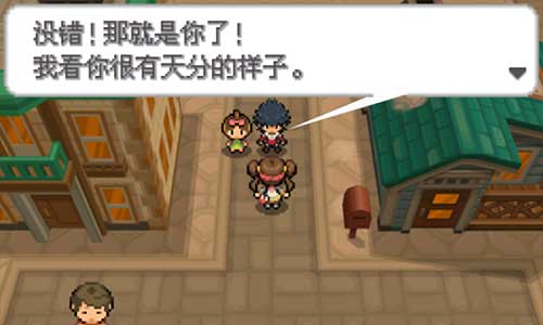 口袋妖怪：白