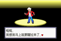 口袋妖怪：蛇紋木  中文版