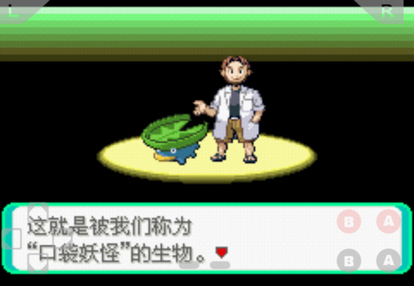 口袋妖怪：荒蕪的世界